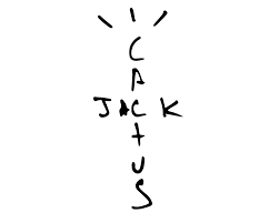 Cactus Jack by Travis Scott